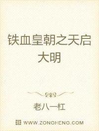 铁血天启大帝大明