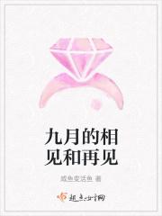 九月的相见和再见歌词