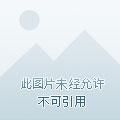 影帝的顶流小娇妻失忆了免费
