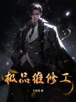 马婷维修工序第485章